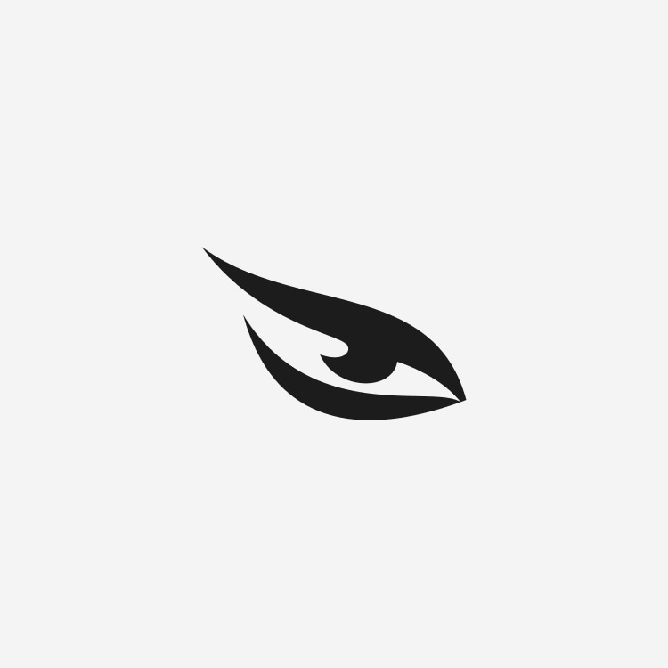 eye